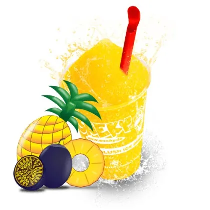 Sneky Slush Eis Sirup Karibik* 5 Liter, AZO frei