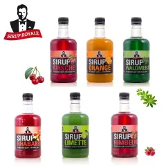 Opakowanie degustacyjne Syrup Royale 6 smaków, 0,5 litra każdy, PET do napojów bezalkoholowych